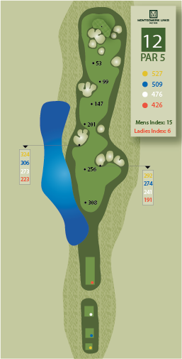 Hole1ZoomOutImage